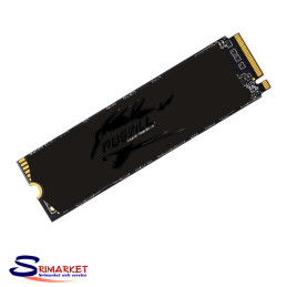 PUSKILL 256GB NVME