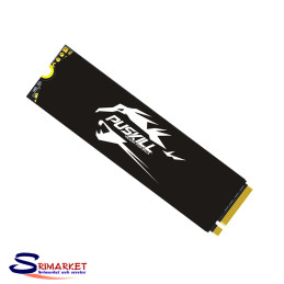 PUSKILL 512GB NVME